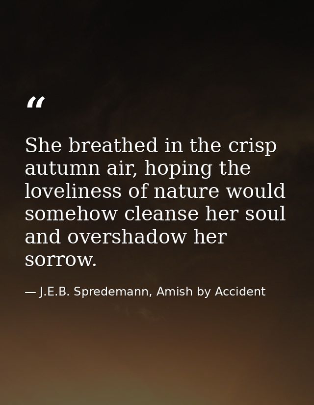 She breathed in the crisp autumn air, hoping the loveliness of nature would somehow cleanse her soul and overshadow her  — J.E.B. Spredemann, Amish by Accident