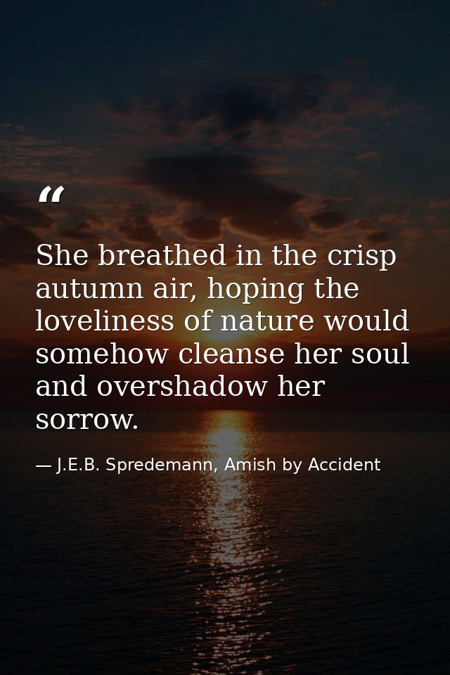 She breathed in the crisp autumn air, hoping the loveliness of nature would somehow cleanse her soul and overshadow her  — J.E.B. Spredemann, Amish by Accident