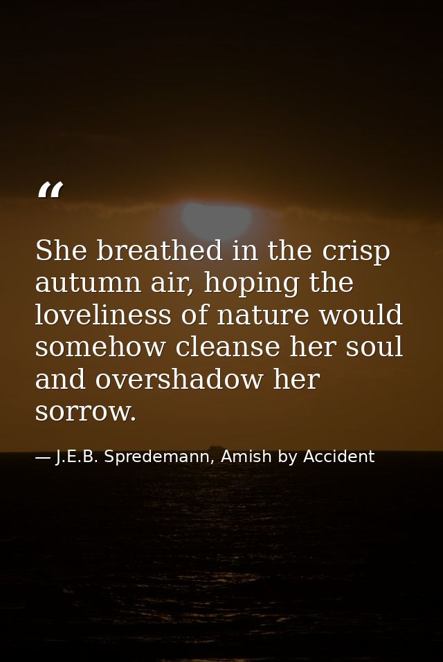 She breathed in the crisp autumn air, hoping the loveliness of nature would somehow cleanse her soul and overshadow her  — J.E.B. Spredemann, Amish by Accident