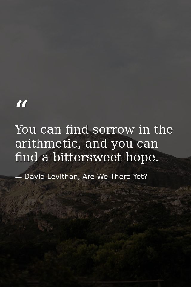 You can find sorrow in the arithmetic, and you can find a bittersweet hope. — David Levithan, Are We There Yet?