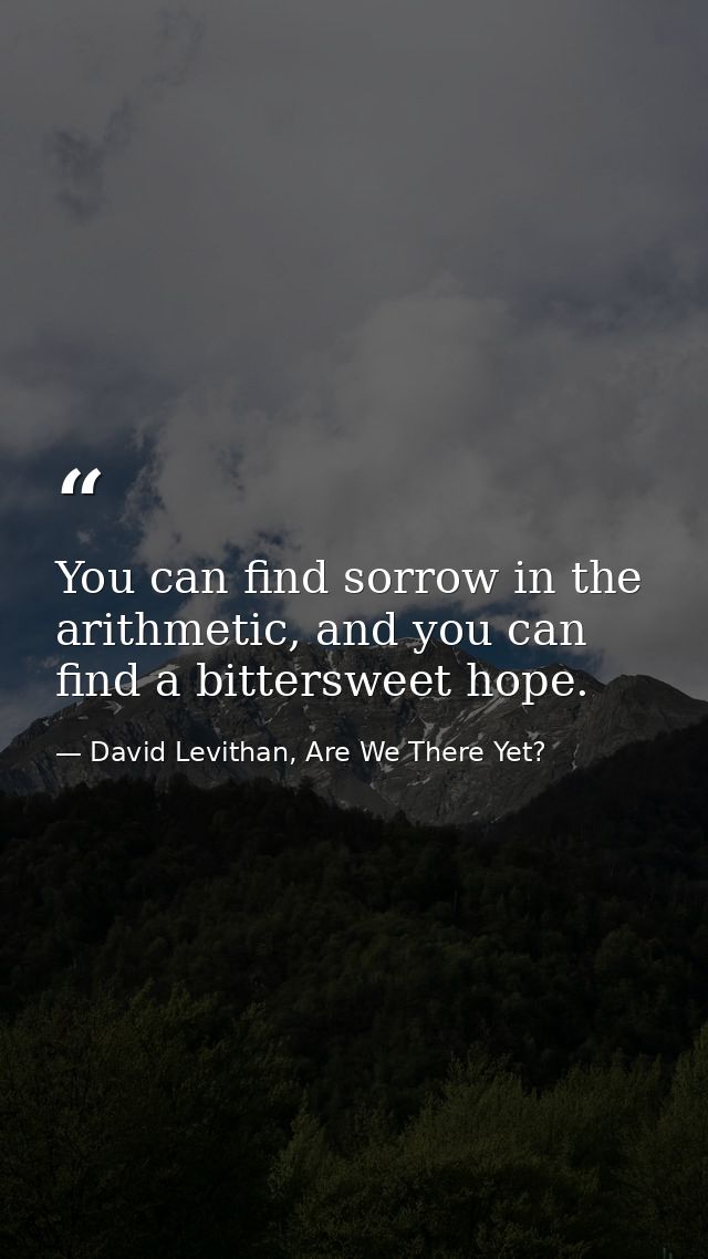 You can find sorrow in the arithmetic, and you can find a bittersweet hope. — David Levithan, Are We There Yet?
