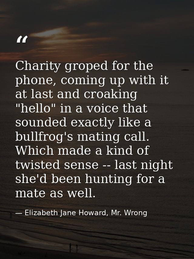 Charity groped for the phone, coming up with it at last and croaking "hello" in a voice that sounded exactly like a bull — Elizabeth Jane Howard, Mr. Wrong
