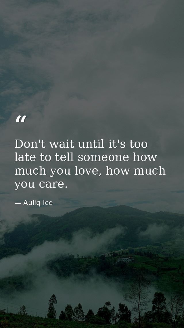 Don't wait until it's too late to tell someone how much you love, how much you care. — Auliq Ice