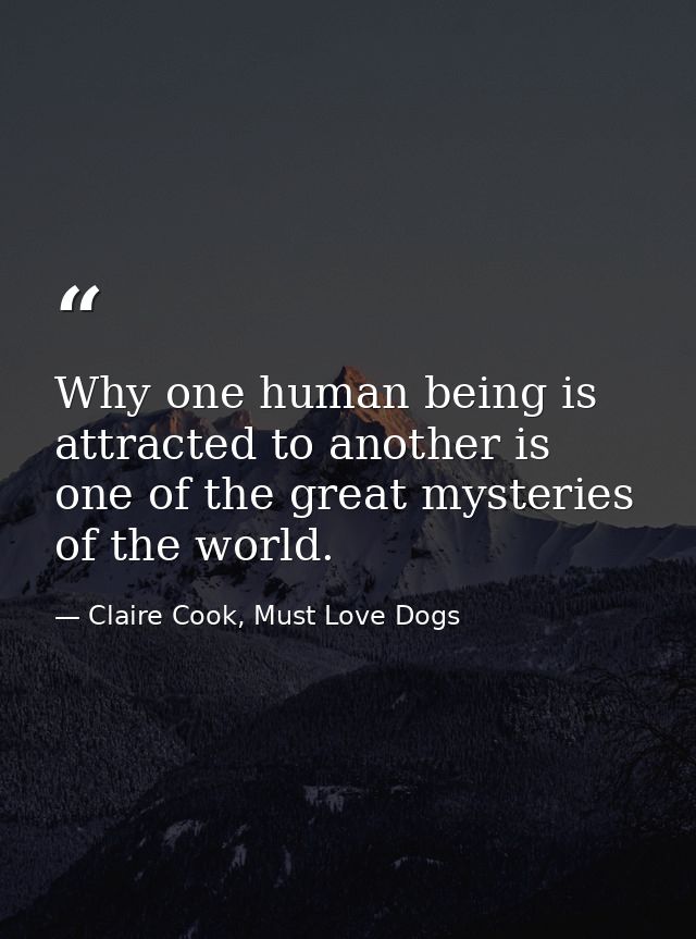 Why one human being is attracted to another is one of the great mysteries of the world. — Claire Cook, Must Love Dogs