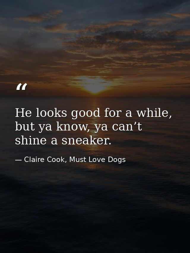 He looks good for a while, but ya know, ya can’t shine a sneaker. — Claire Cook, Must Love Dogs