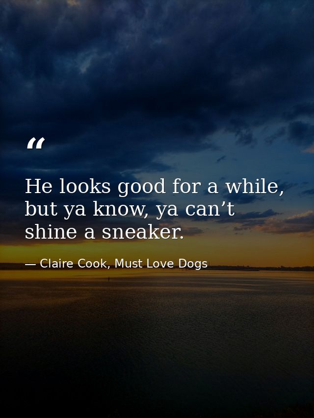 He looks good for a while, but ya know, ya can’t shine a sneaker. — Claire Cook, Must Love Dogs