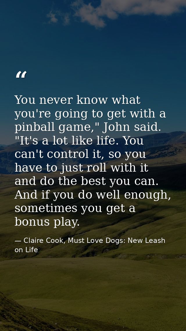 You never know what you're going to get with a pinball game," John said. "It's a lot like life. You can't control it, so — Claire Cook, Must Love Dogs: New Leash on Life