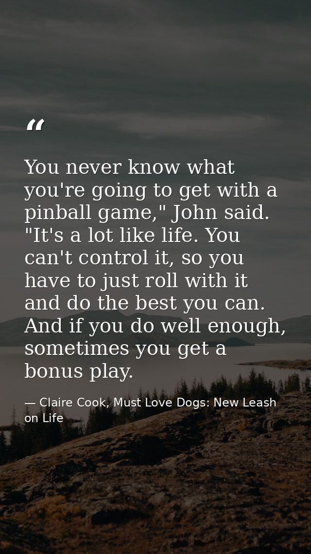 You never know what you're going to get with a pinball game," John said. "It's a lot like life. You can't control it, so — Claire Cook, Must Love Dogs: New Leash on Life