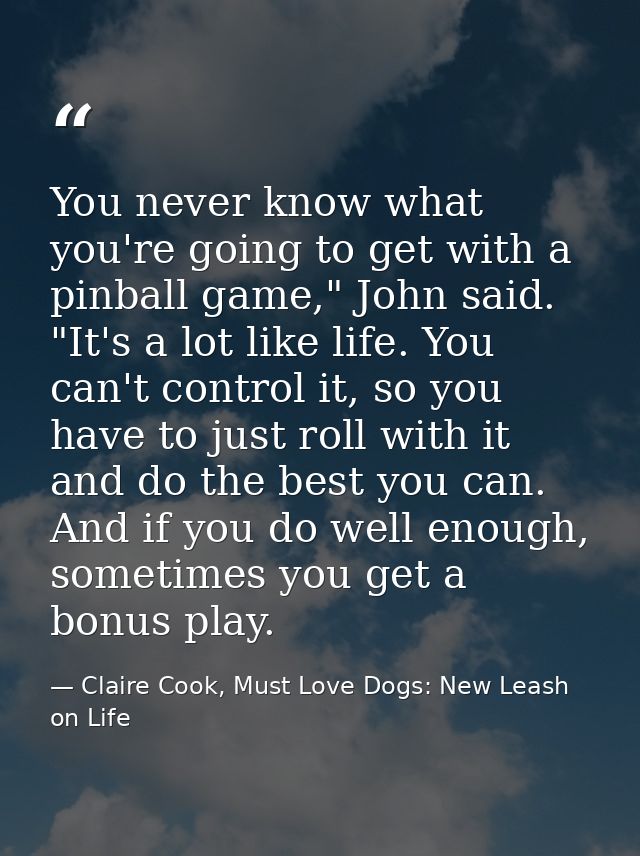You never know what you're going to get with a pinball game," John said. "It's a lot like life. You can't control it, so — Claire Cook, Must Love Dogs: New Leash on Life