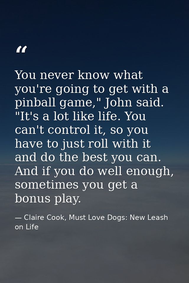 You never know what you're going to get with a pinball game," John said. "It's a lot like life. You can't control it, so — Claire Cook, Must Love Dogs: New Leash on Life