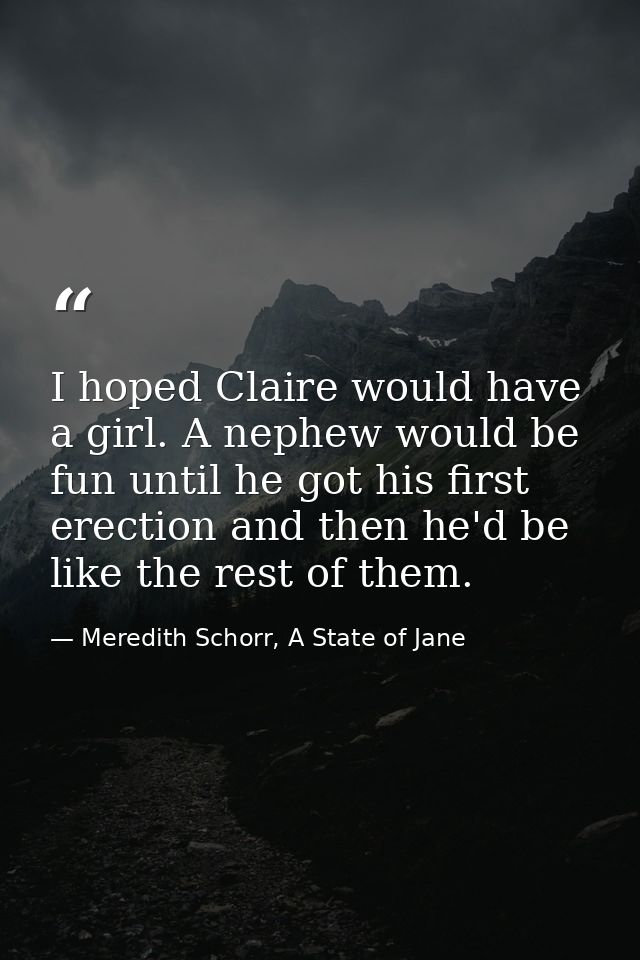 I hoped Claire would have a girl. A nephew would be fun until he got his first erection and then he'd be like the rest o — Meredith Schorr, A State of Jane