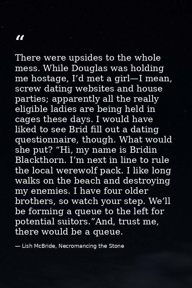 There were upsides to the whole mess. While Douglas was holding me hostage, I’d met a girl—I mean, screw dating websites — Lish McBride, Necromancing the Stone