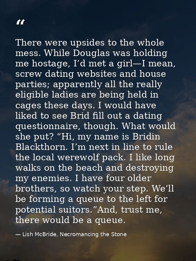 There were upsides to the whole mess. While Douglas was holding me hostage, I’d met a girl—I mean, screw dating websites — Lish McBride, Necromancing the Stone