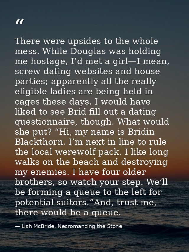 There were upsides to the whole mess. While Douglas was holding me hostage, I’d met a girl—I mean, screw dating websites — Lish McBride, Necromancing the Stone