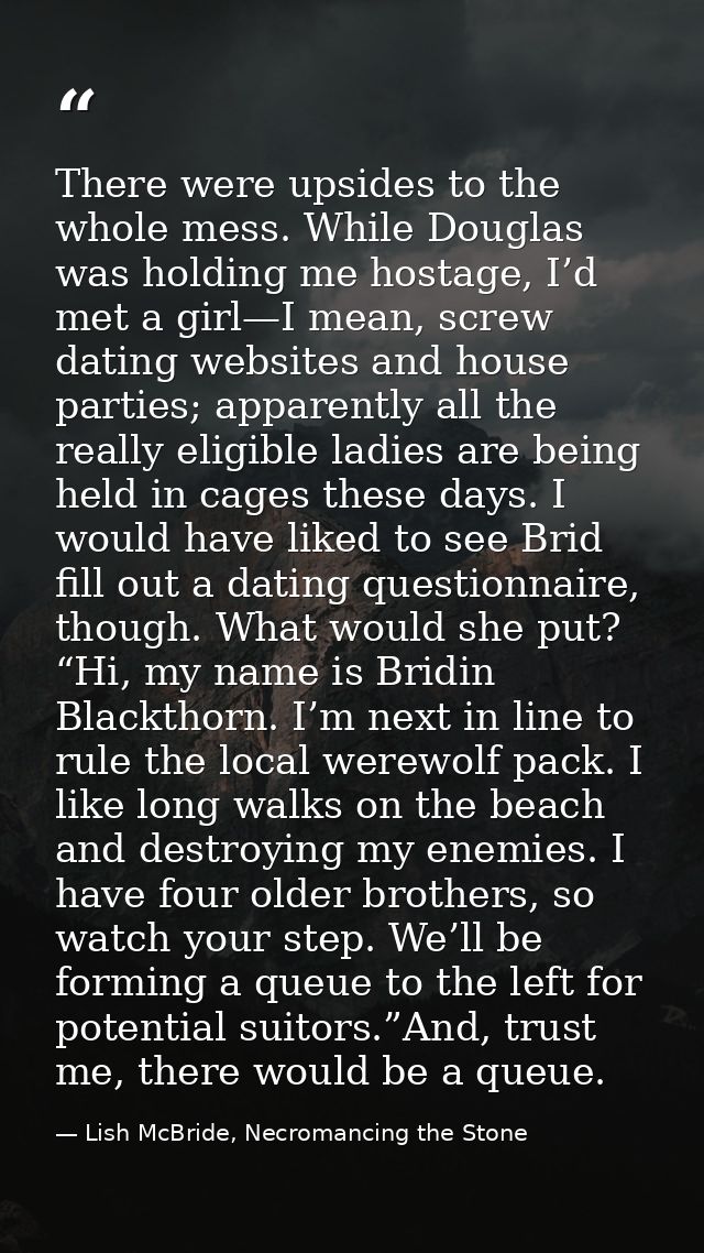 There were upsides to the whole mess. While Douglas was holding me hostage, I’d met a girl—I mean, screw dating websites — Lish McBride, Necromancing the Stone