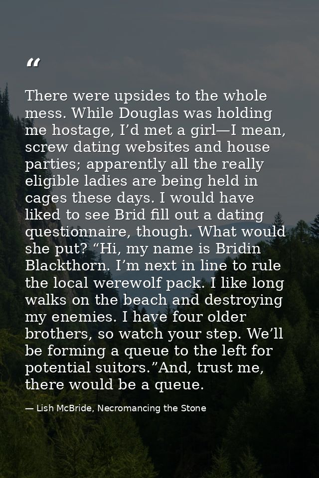 There were upsides to the whole mess. While Douglas was holding me hostage, I’d met a girl—I mean, screw dating websites — Lish McBride, Necromancing the Stone