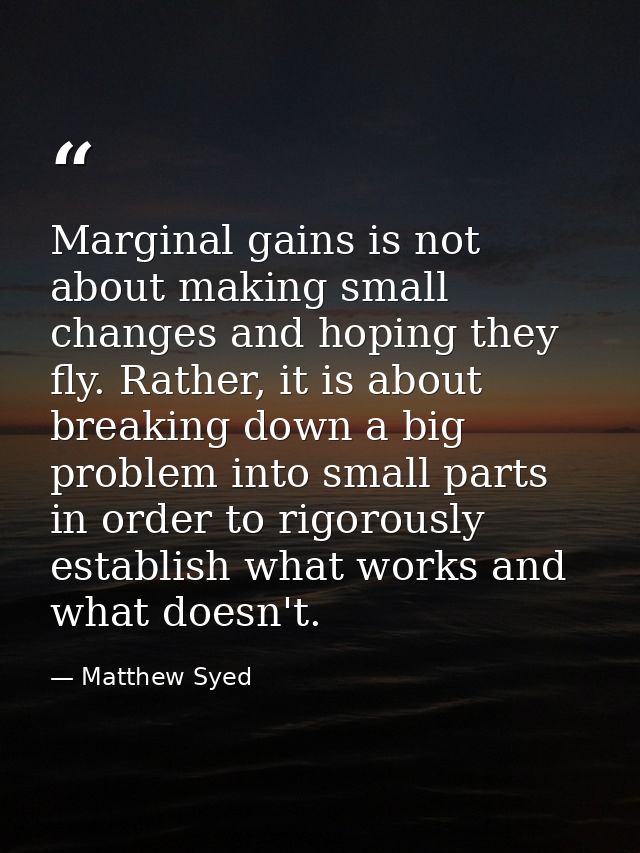 Marginal gains is not about making small changes and hoping they fly. Rather, it is about breaking down a big problem in — Matthew Syed