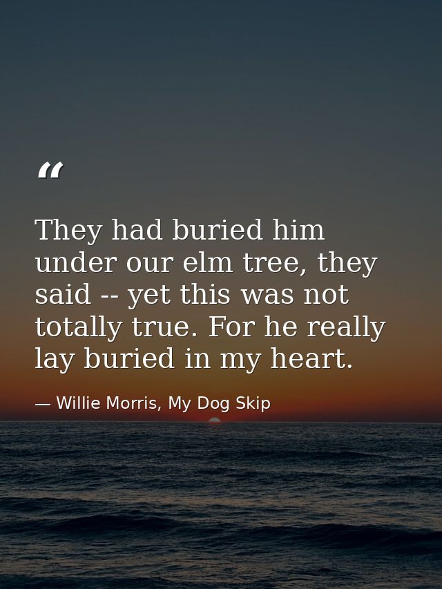 They had buried him under our elm tree, they said -- yet this was not totally true. For he really lay buried in my heart — Willie Morris, My Dog Skip