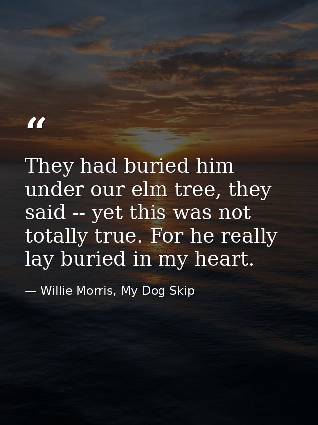 They had buried him under our elm tree, they said -- yet this was not totally true. For he really lay buried in my heart — Willie Morris, My Dog Skip