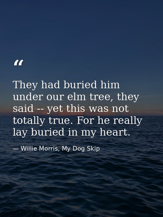 They had buried him under our elm tree, they said -- yet this was not totally true. For he really lay buried in my heart — Willie Morris, My Dog Skip