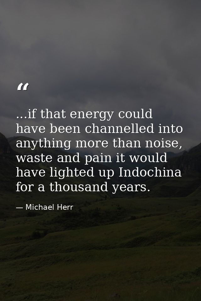 ...if that energy could have been channelled into anything more than noise, waste and pain it would have lighted up Indo — Michael Herr