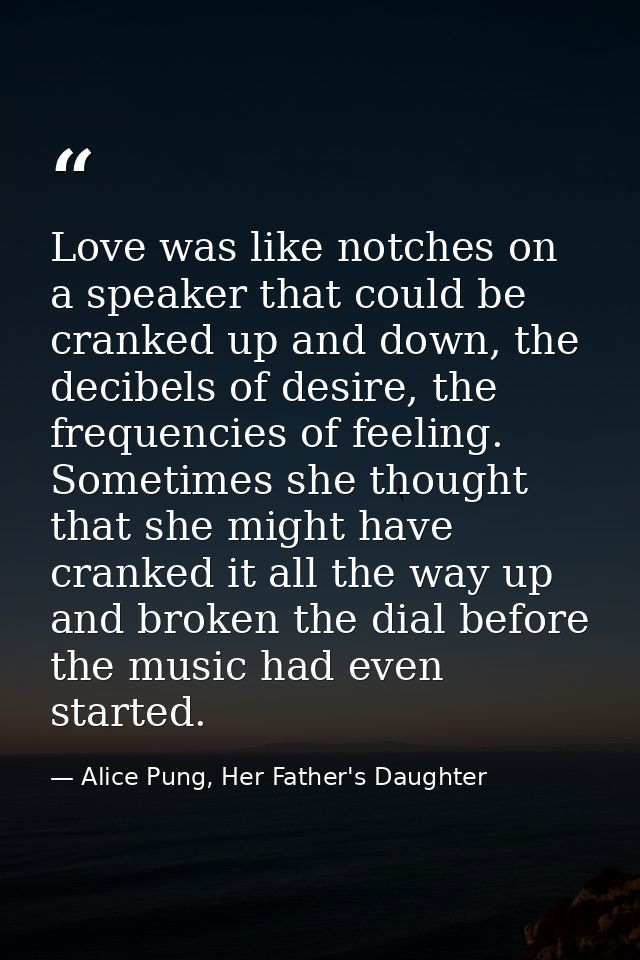 Love was like notches on a speaker that could be cranked up and down, the decibels of desire, the frequencies of feeling — Alice Pung, Her Father's Daughter
