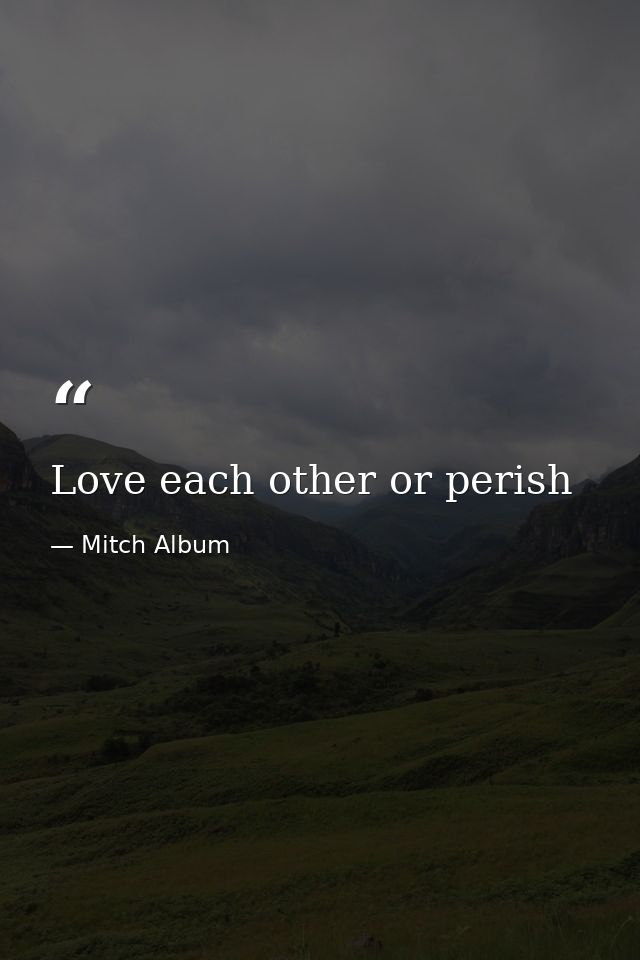 Love each other or perish — Mitch Album