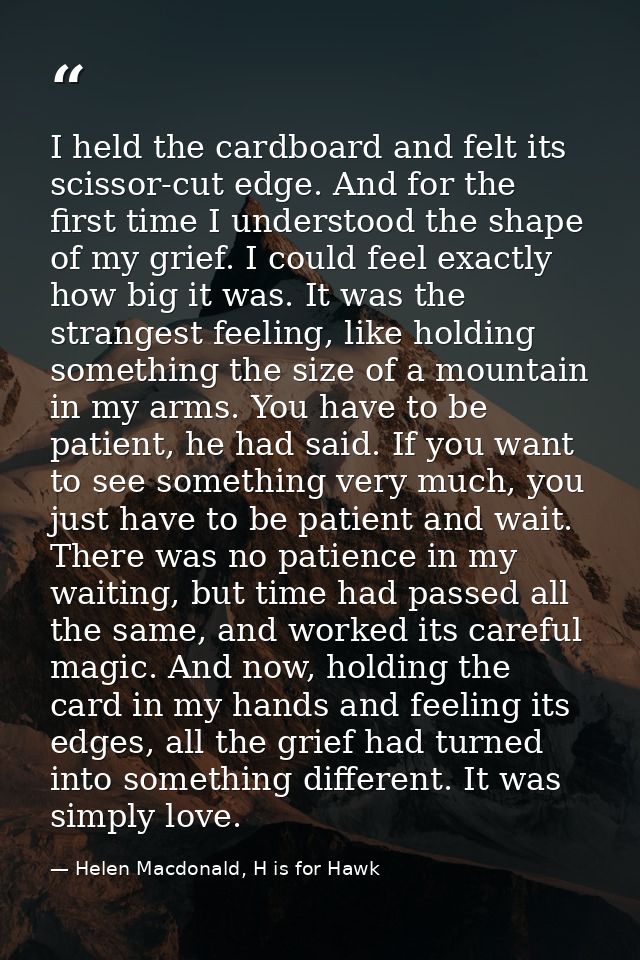 I held the cardboard and felt its scissor-cut edge. And for the first time I understood the shape of my grief. I could f — Helen Macdonald, H is for Hawk