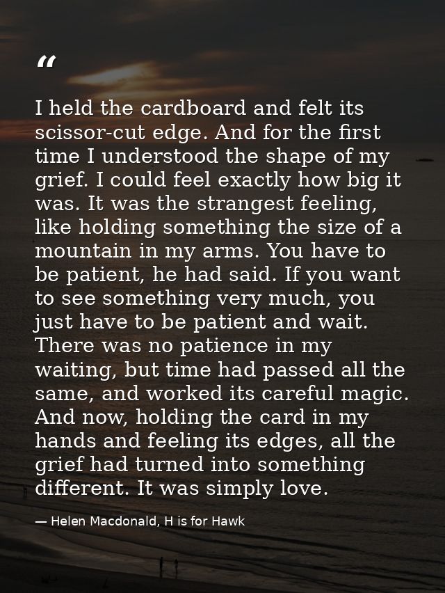 I held the cardboard and felt its scissor-cut edge. And for the first time I understood the shape of my grief. I could f — Helen Macdonald, H is for Hawk