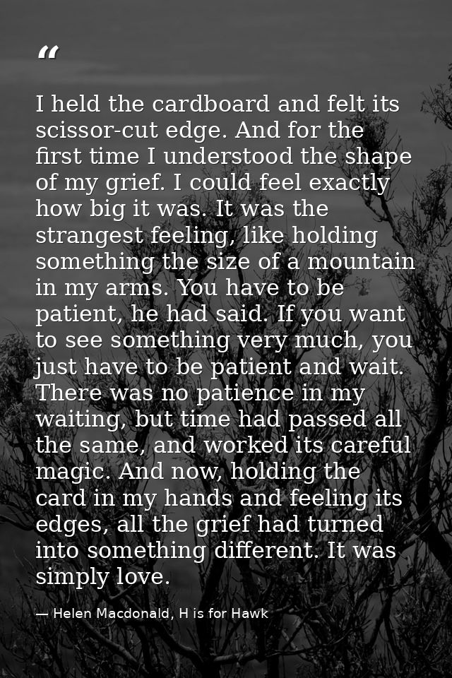 I held the cardboard and felt its scissor-cut edge. And for the first time I understood the shape of my grief. I could f — Helen Macdonald, H is for Hawk
