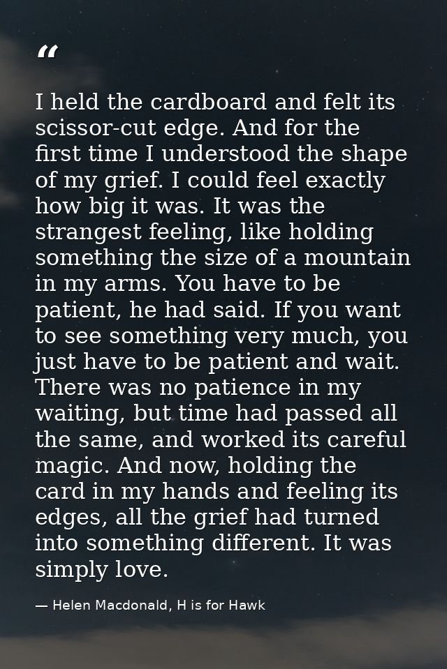I held the cardboard and felt its scissor-cut edge. And for the first time I understood the shape of my grief. I could f — Helen Macdonald, H is for Hawk