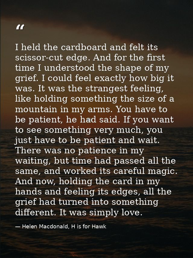 I held the cardboard and felt its scissor-cut edge. And for the first time I understood the shape of my grief. I could f — Helen Macdonald, H is for Hawk