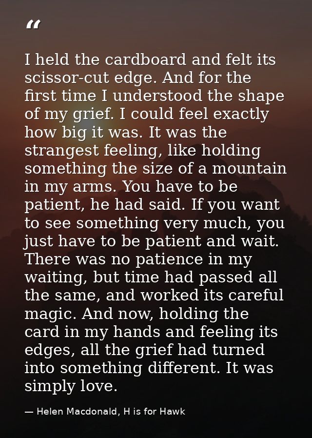 I held the cardboard and felt its scissor-cut edge. And for the first time I understood the shape of my grief. I could f — Helen Macdonald, H is for Hawk