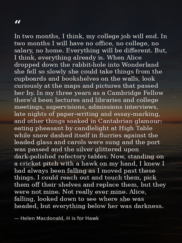 In two months, I think, my college job will end. In two months I will have no office, no college, no salary, no home. Ev — Helen Macdonald, H is for Hawk