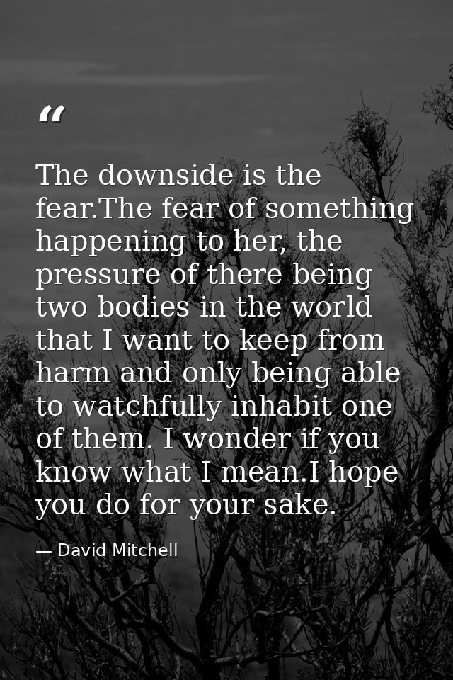 The downside is the fear.The fear of something happening to her, the pressure of there being two bodies in the world tha — David Mitchell