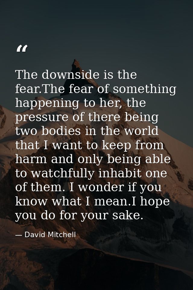 The downside is the fear.The fear of something happening to her, the pressure of there being two bodies in the world tha — David Mitchell
