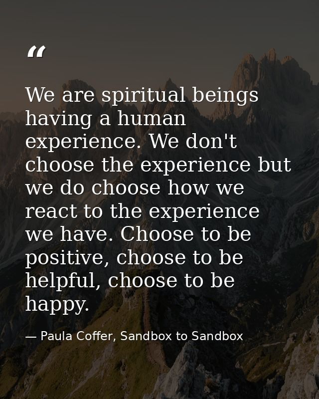We are spiritual beings having a human experience. We don't choose the experience but we do choose how we react to the e — Paula Coffer, Sandbox to Sandbox