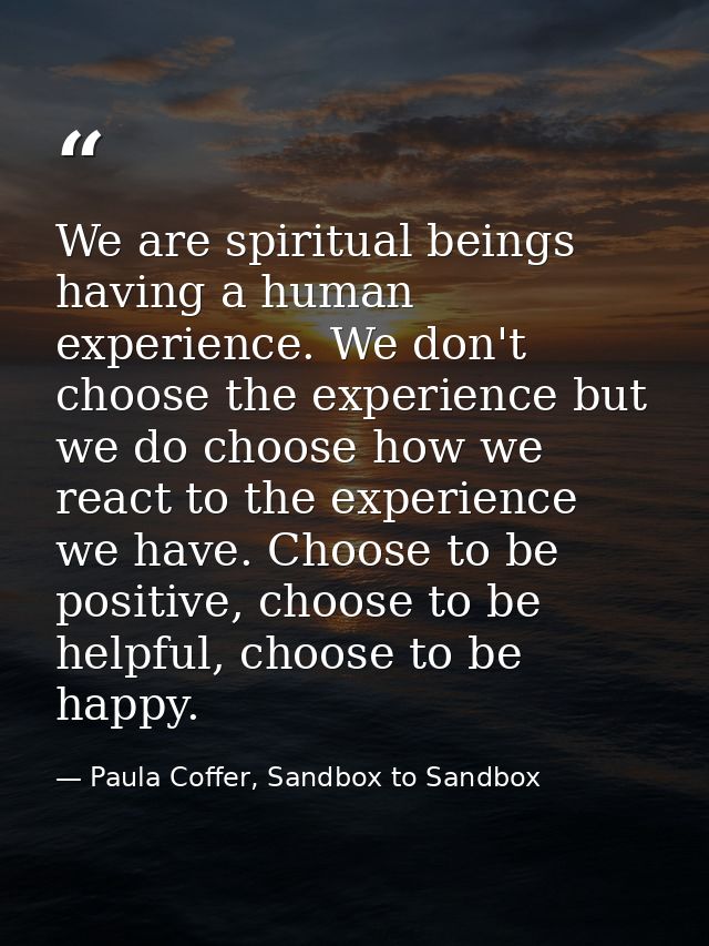 We are spiritual beings having a human experience. We don't choose the experience but we do choose how we react to the e — Paula Coffer, Sandbox to Sandbox
