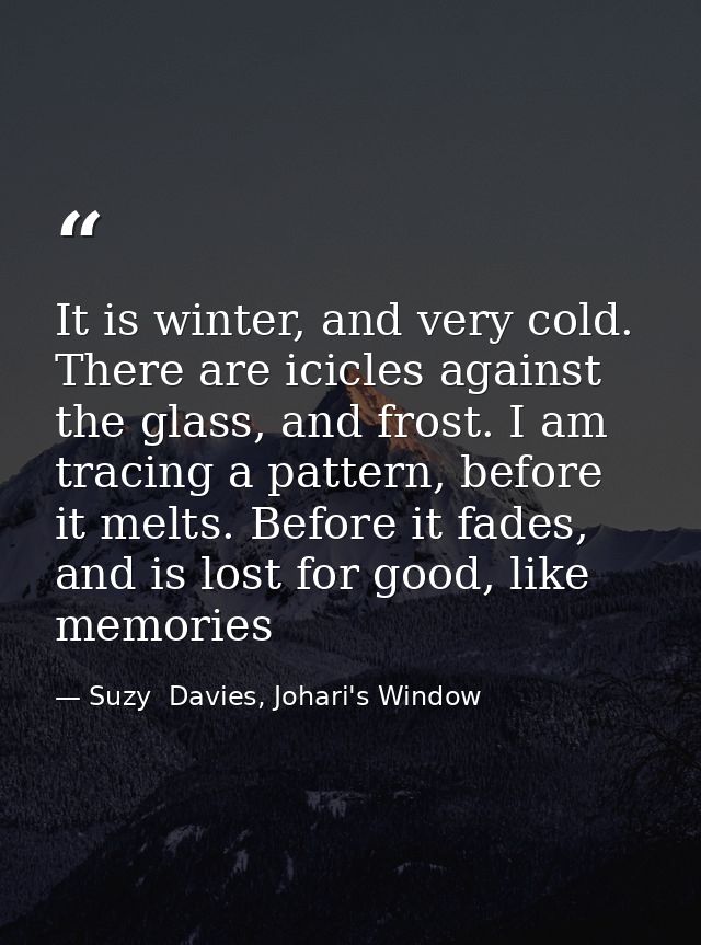 It is winter, and very cold. There are icicles against the glass, and frost. I am tracing a pattern, before it melts. Be — Suzy  Davies, Johari's Window