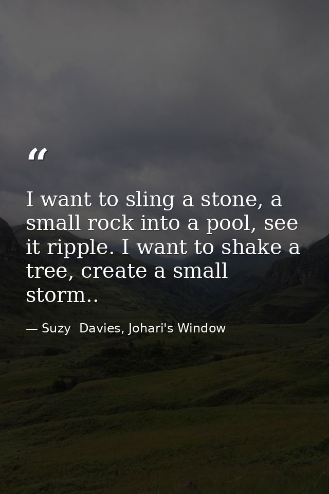 I want to sling a stone, a small rock into a pool, see it ripple. I want to shake a tree, create a small storm.. — Suzy  Davies, Johari's Window