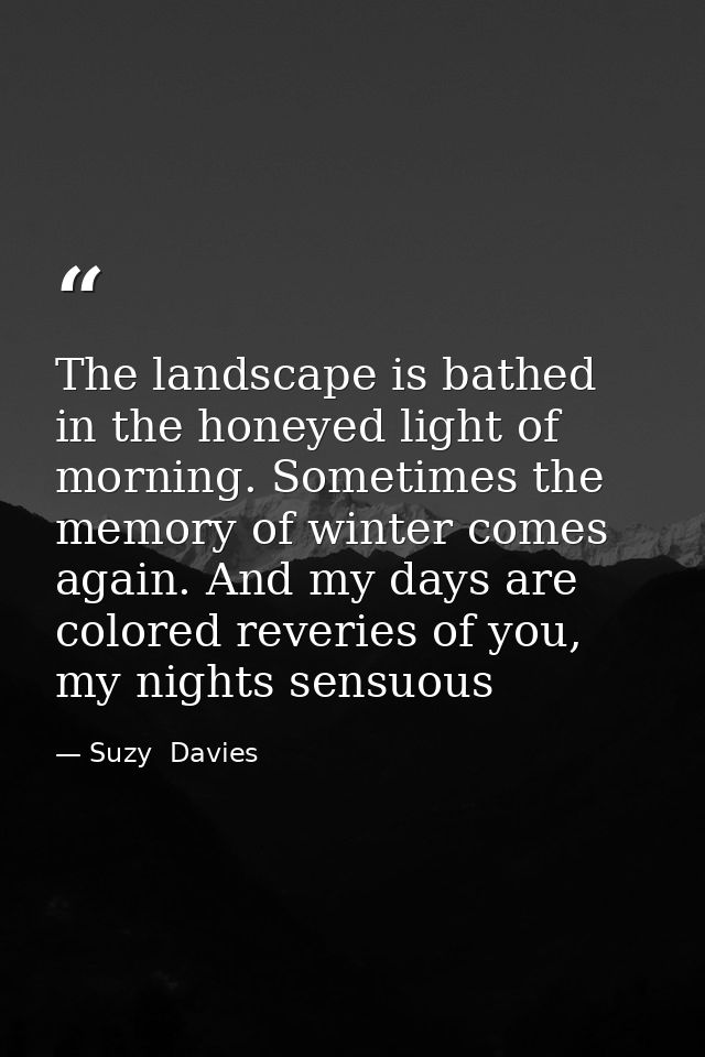 The landscape is bathed in the honeyed light of morning. Sometimes the memory of winter comes again. And my days are col — Suzy  Davies