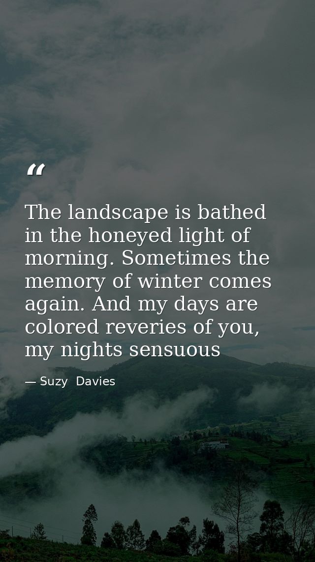 The landscape is bathed in the honeyed light of morning. Sometimes the memory of winter comes again. And my days are col — Suzy  Davies