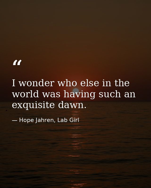 I wonder who else in the world was having such an exquisite dawn. — Hope Jahren, Lab Girl