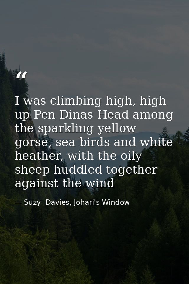 I was climbing high, high up Pen Dinas Head among the sparkling yellow gorse, sea birds and white heather, with the oily — Suzy  Davies, Johari's Window