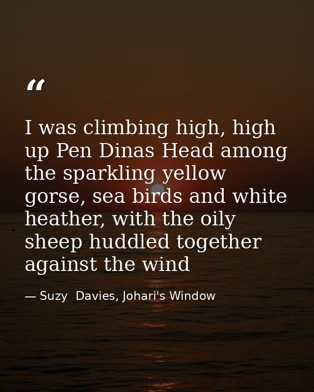 I was climbing high, high up Pen Dinas Head among the sparkling yellow gorse, sea birds and white heather, with the oily — Suzy  Davies, Johari's Window