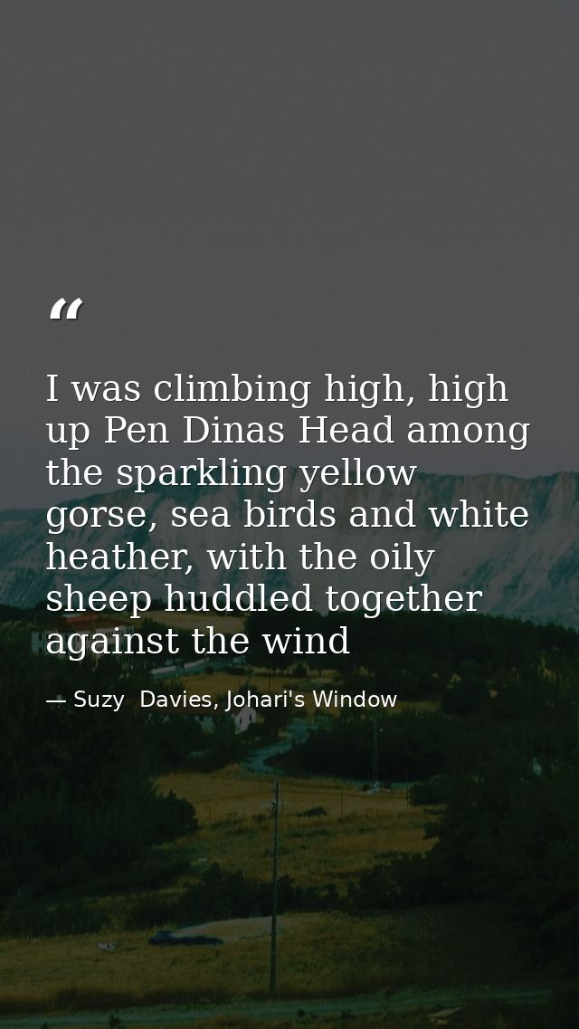 I was climbing high, high up Pen Dinas Head among the sparkling yellow gorse, sea birds and white heather, with the oily — Suzy  Davies, Johari's Window
