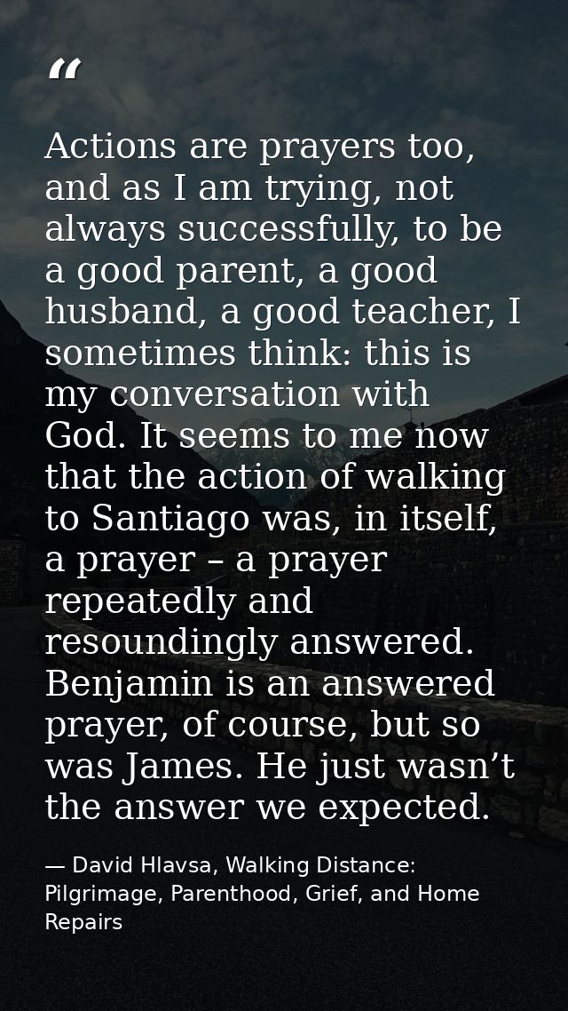 Actions are prayers too, and as I am trying, not always successfully, to be a good parent, a good husband, a good teache — David Hlavsa, Walking Distance: Pilgrimage, Parenthood, Grief, and Home Repairs