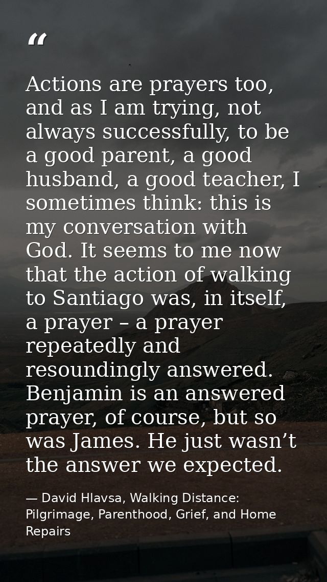 Actions are prayers too, and as I am trying, not always successfully, to be a good parent, a good husband, a good teache — David Hlavsa, Walking Distance: Pilgrimage, Parenthood, Grief, and Home Repairs