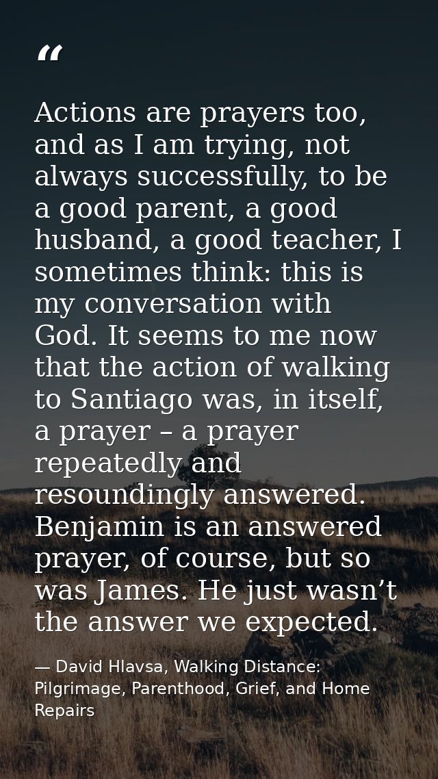 Actions are prayers too, and as I am trying, not always successfully, to be a good parent, a good husband, a good teache — David Hlavsa, Walking Distance: Pilgrimage, Parenthood, Grief, and Home Repairs