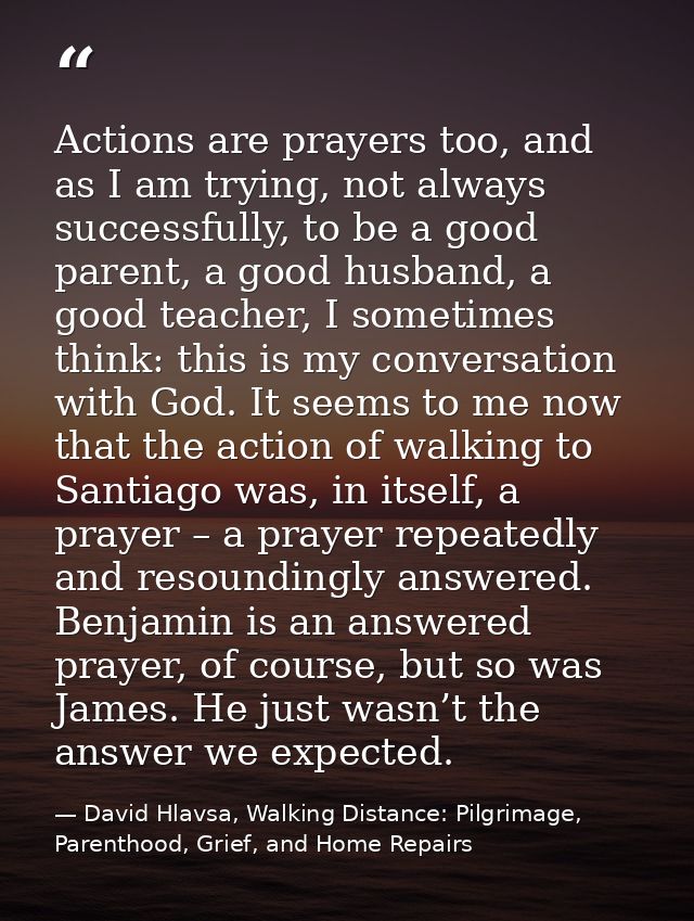 Actions are prayers too, and as I am trying, not always successfully, to be a good parent, a good husband, a good teache — David Hlavsa, Walking Distance: Pilgrimage, Parenthood, Grief, and Home Repairs